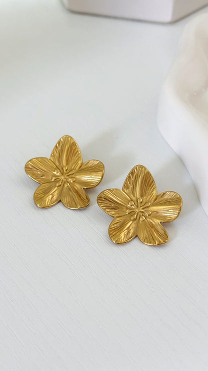 AMAPOLLA STUDS